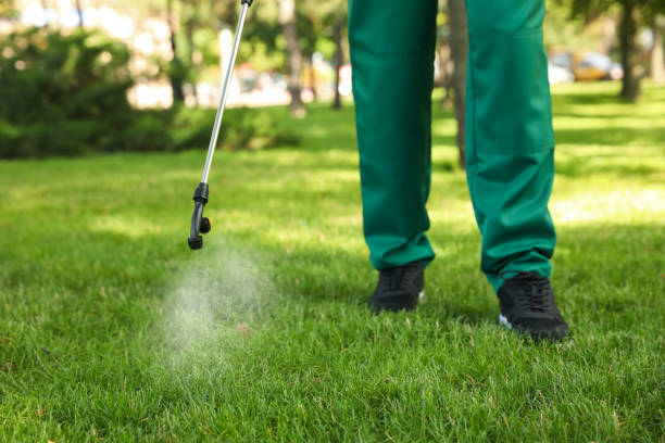 Pest Control for Restaurants in Webster City, IA