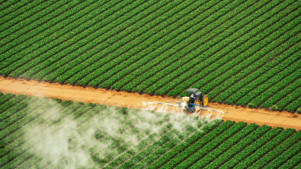 Professional Pest Control in Webster City, IA