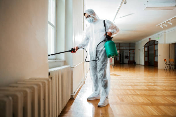 Best Flea Control Services  in Webster City, IA